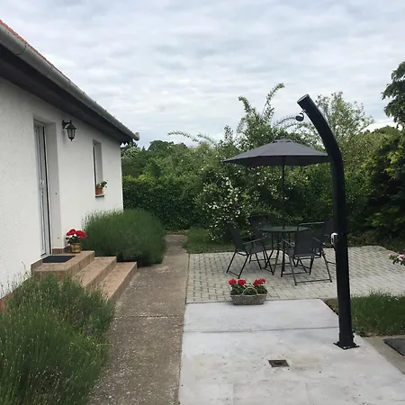 Levendula Vendeghaz Guest house Borsodivanka