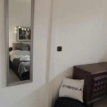Guest house Levendula Vendeghaz *