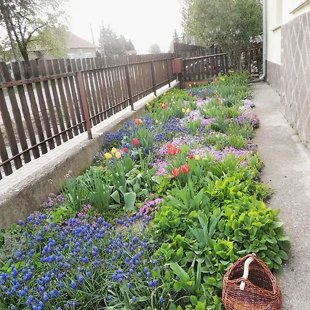 Gasthuis Levendula Vendeghaz 3*